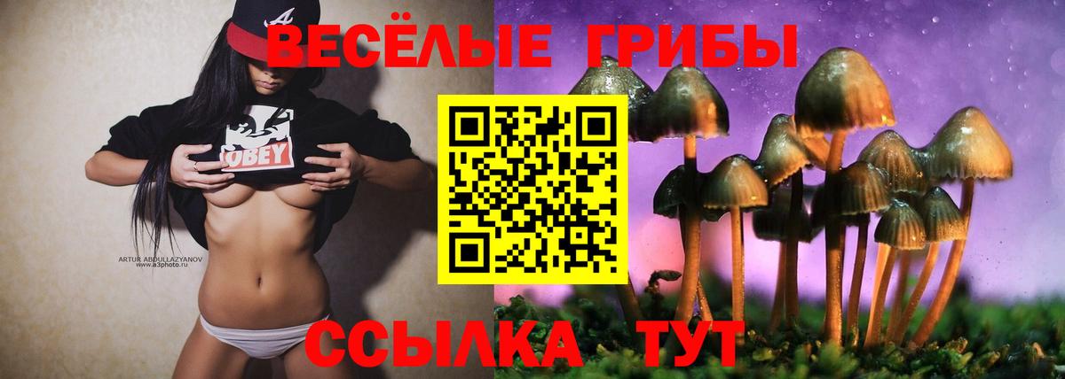 Псилоцибиновые грибы прущие грибы  Галлюциногенные грибы прущие грибы  Вход с VPN  Саров 